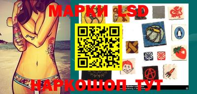 индика Будённовск