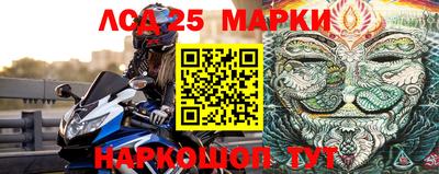 индика Будённовск